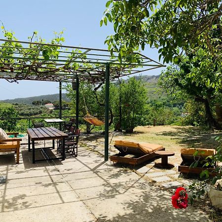 Temenia House Villa Luaran gambar